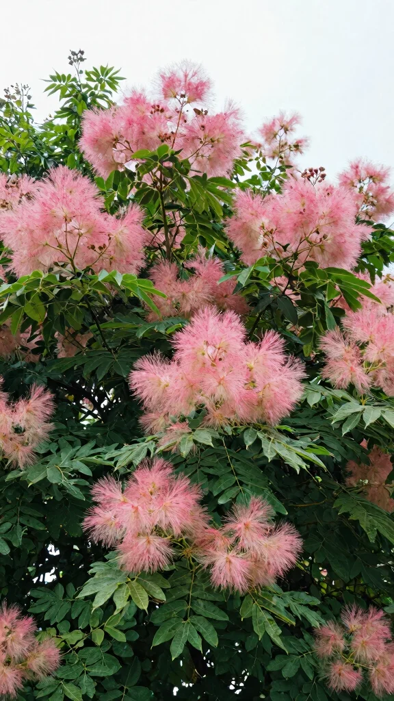 17 Stunning Perennial Flowering Shrubs That Will Transform Your Garden Forever! - 12. Smoke Tree (Cotinus coggygria) 1